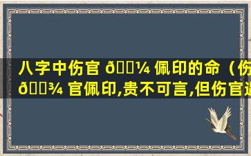 八字中伤官 🌼 佩印的命（伤 🌾 官佩印,贵不可言,但伤官遇劫,易遭小人陷害）